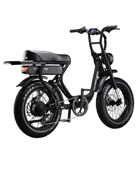 Flightrisk FR303 Electric Bike | Black
