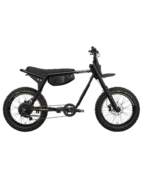 Super73 Z Adventure Special Edition Electric Bike | Bandit