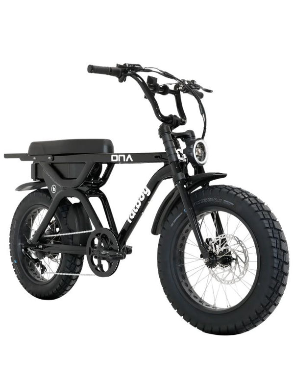 Fatboy DNA V Electric Bike | Gloss Black EN15194