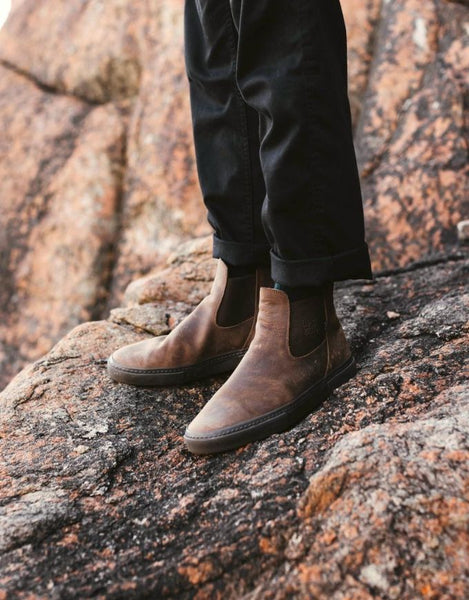 Globe Dover II Shoe | Dark Brown/Wasted Talent
