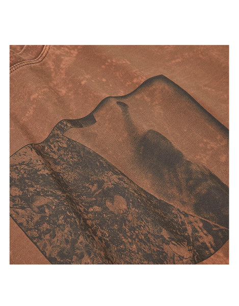Polar Leaves And Window LS | Rust
