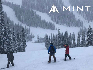 Introducing Our Travel Partners Mint Tours