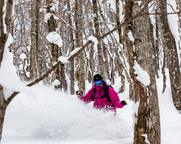 Have you seen all the snow in Japan?