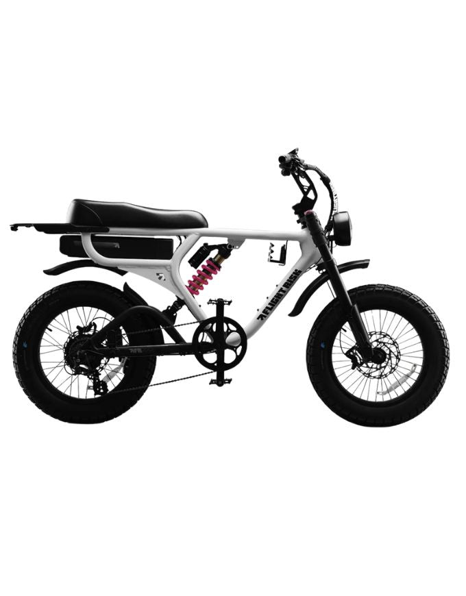 Flightrisk FR555 Electric Bike | Silver