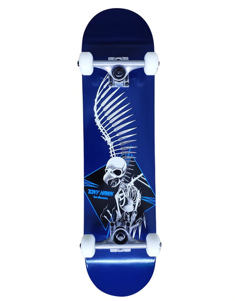 Birdhouse Level 1 Complete Full Skull 2 | 7.5"