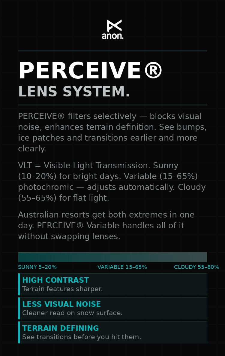 Anon M4S LB MFI Cylindrical Goggle | Joshua Noom/Perceive Variable