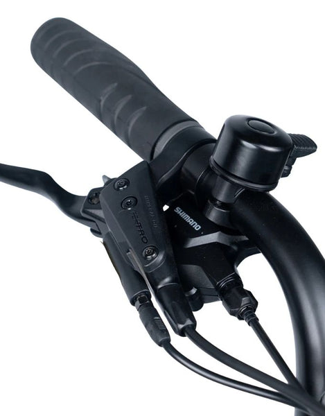 Amp'd Bros Ace X Pro Dual Electric Bike | Black