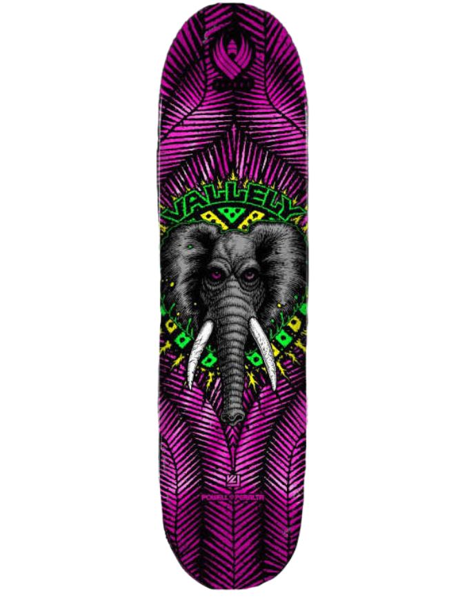 Powell Peralta Skeleton Flight Deck Pink Foil | 8.0"