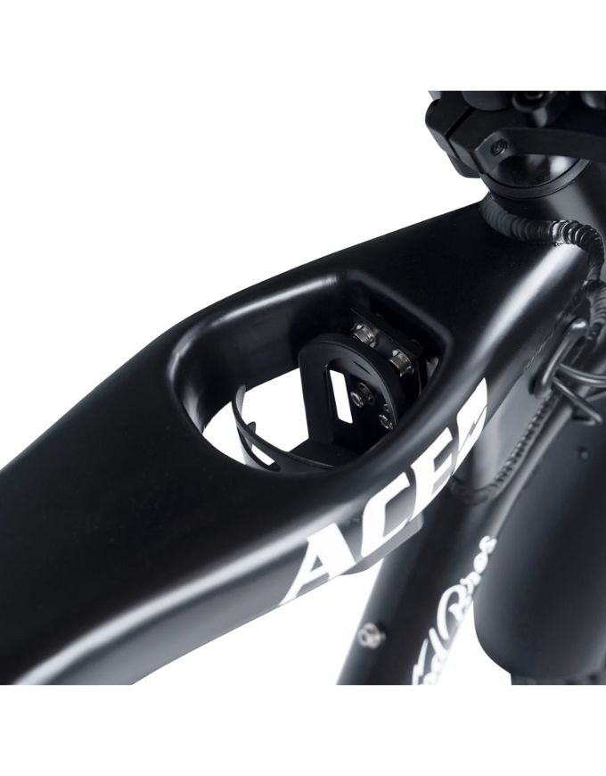 Amp'd Bros Ace X Plus Electric Bike | Matte Black