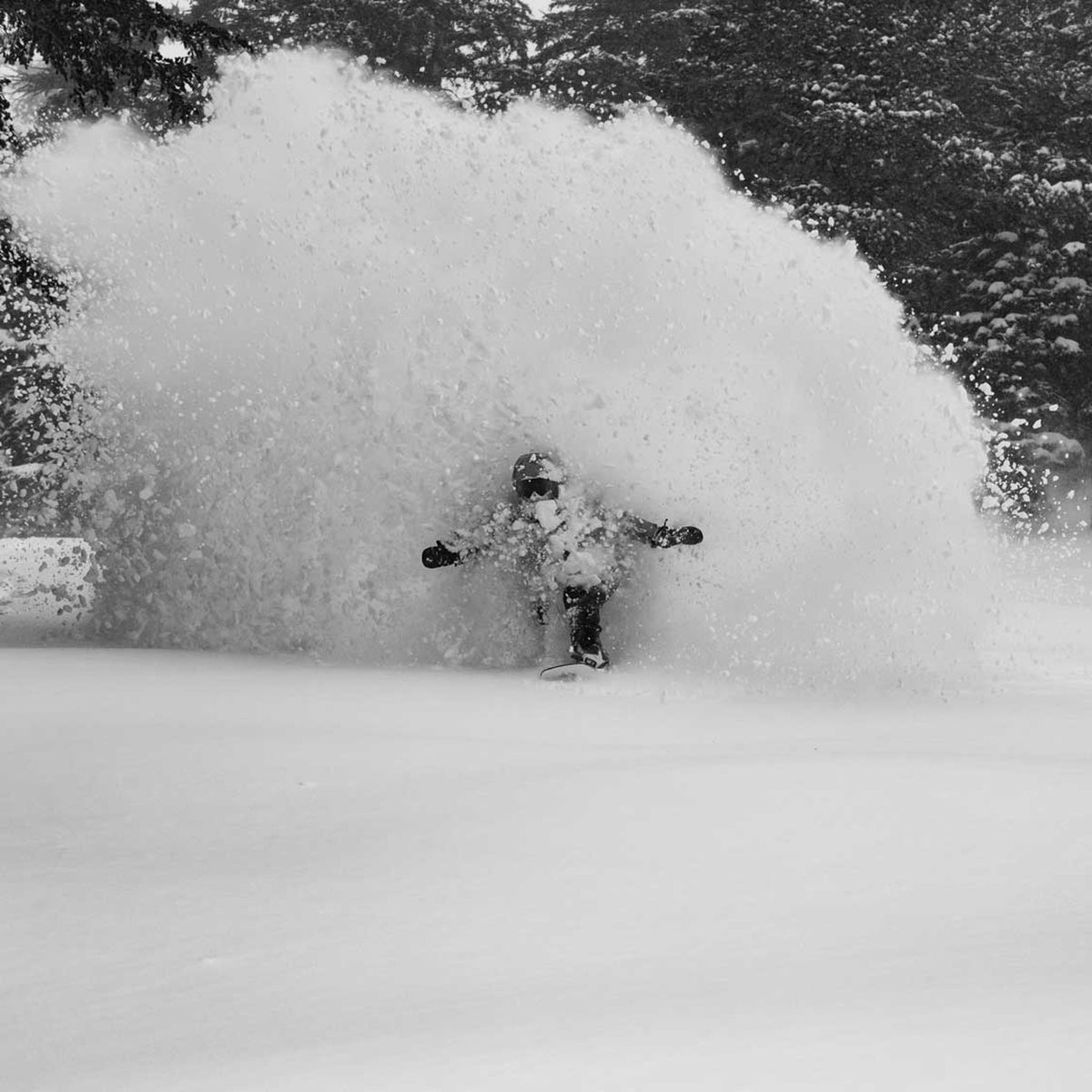 JONES ON SNOW
