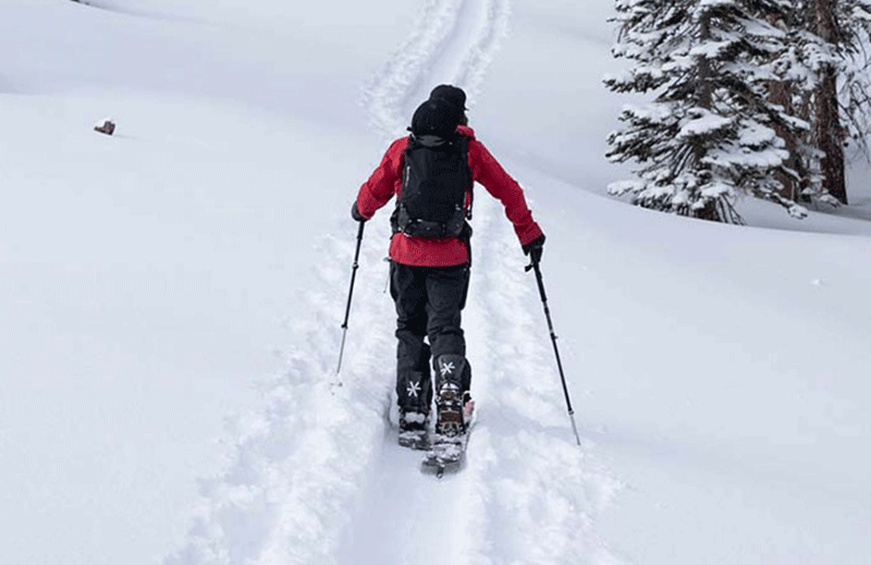 SPLITBOARDS