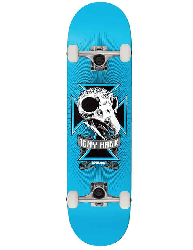 Birdhouse Level 1 Skull Complete Blue | 8.0"